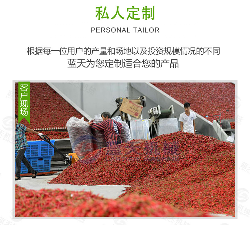 大型辣椒烘干機(jī)