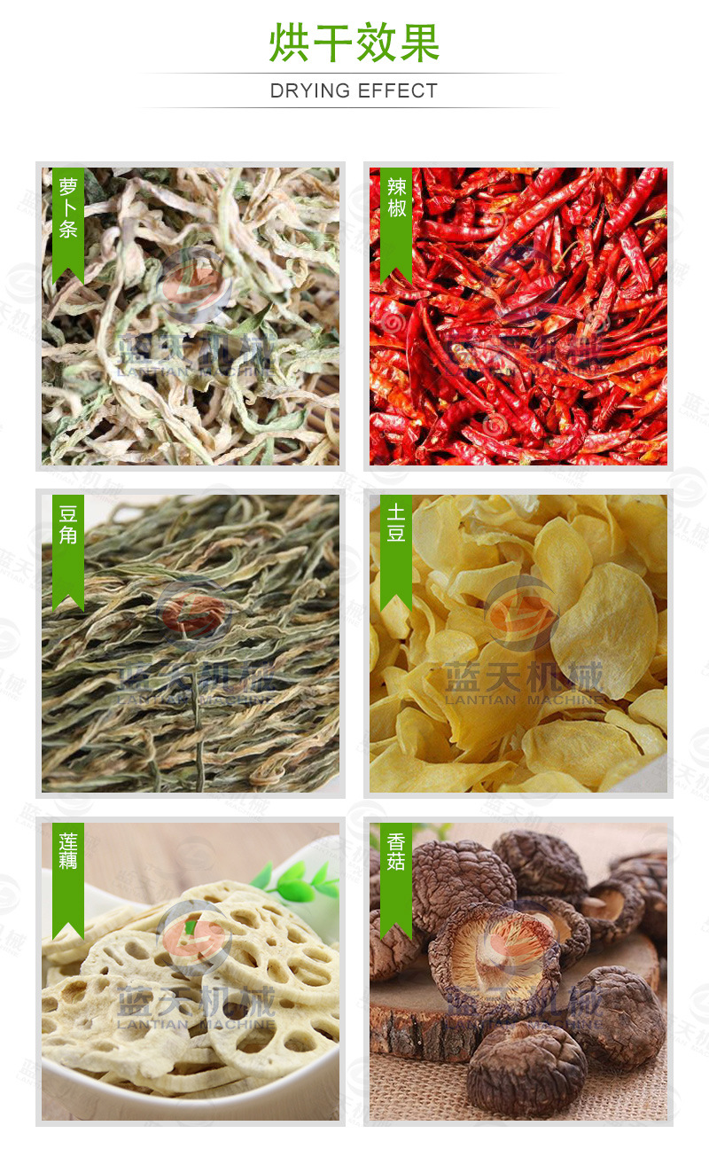 蘿卜烘干機(jī)烘干效果
