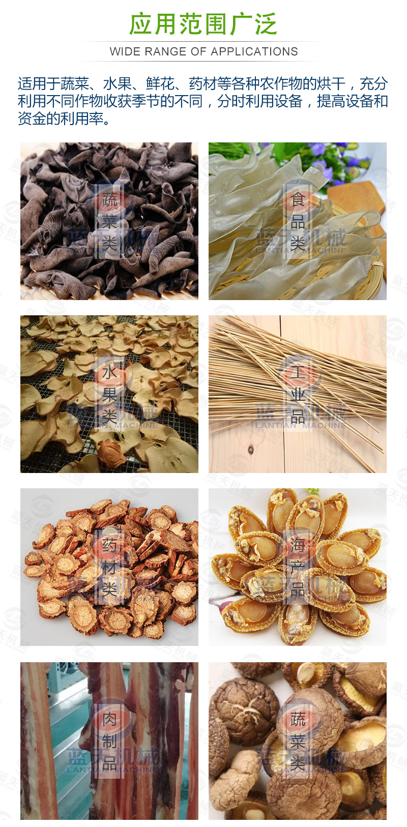 帶式青菜烘干機應(yīng)用范圍廣泛