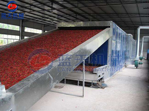 貴州帶式辣椒烘干機用戶現(xiàn)場