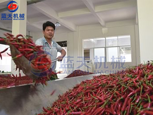 貴州帶式辣椒烘干機用戶現(xiàn)場