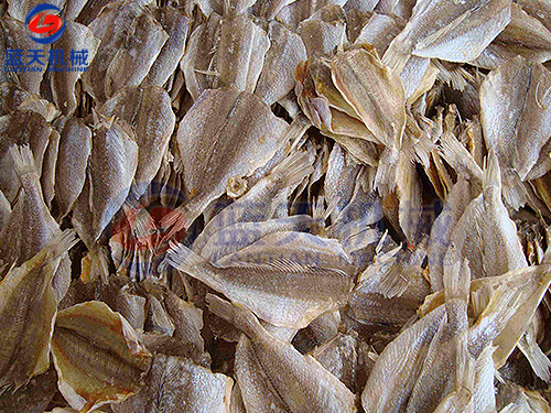 浙江魚(yú)干烘干機(jī)用戶現(xiàn)場(chǎng)